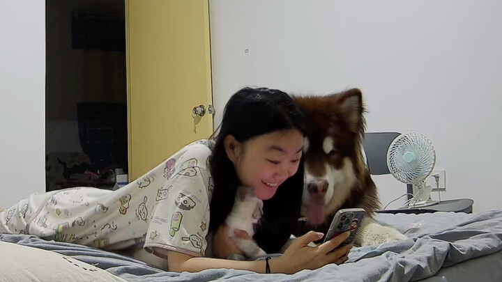 The little dog loves its mom so much.