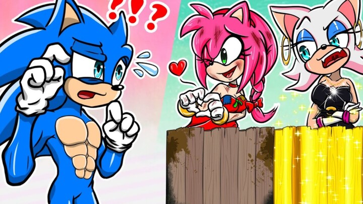 In order to reach the pinnacle of life, Sonic resolutely gave up Amy, and a big reversal occurred.