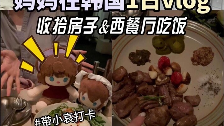 After Moving in Korea, Mom Came Over 💜 Cleaning the Room + Western Restaurant