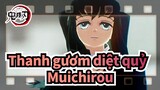 [Thanh gươm diệt quỷ MMD] Sờ Bình - Muichirou