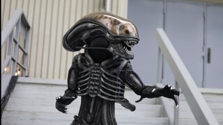 [Cosplay Eropa dan Amerika] Alien ini terlalu dipulihkan! VIDEO COSPLAY DARGON CON 2019