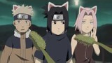 Naruto ngoại truyện - uchiha sasuke và những con mèo của tộc Uchiha - hài hước