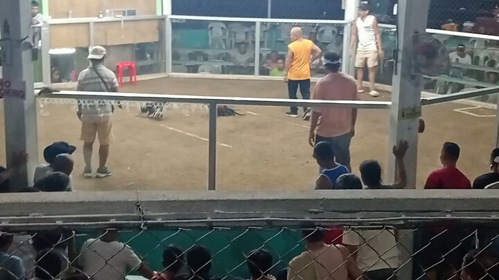 MY BLACKPANTHER MELSIMS BLACK vs open eae high station sweater