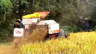 Máy Cắt Lúa KUBOTA DC 70 Plus l Nhạc TikTok Remix Cực hay l Máy Gặt Đập Liên Hợp