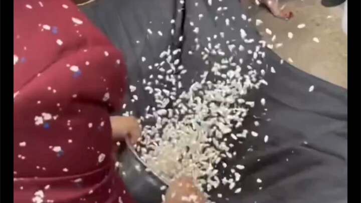 تعليم السحر