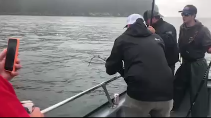 ชาวประมงจับสพันจ์บ็อบได้