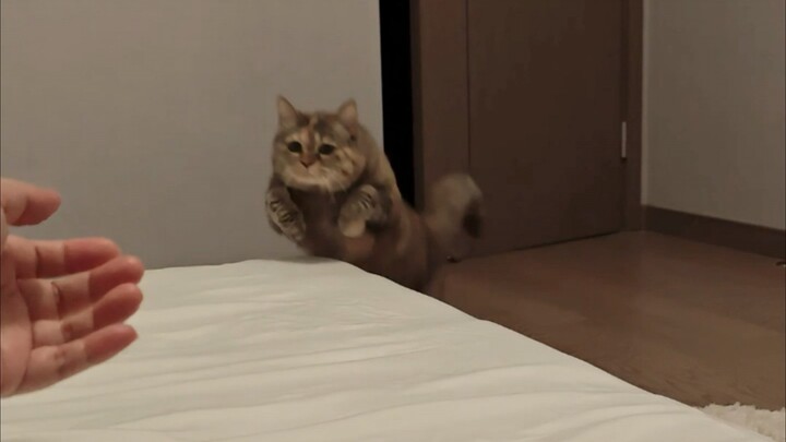 So great—Mom asked me to sleep with her!