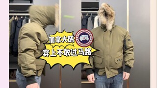 การร่วมมือระหว่าง Canada Goose และ Plants vs. Zombies
