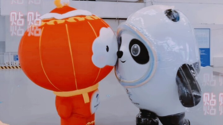 Mereka tampaknya tahu bahwa mereka lucu!!!