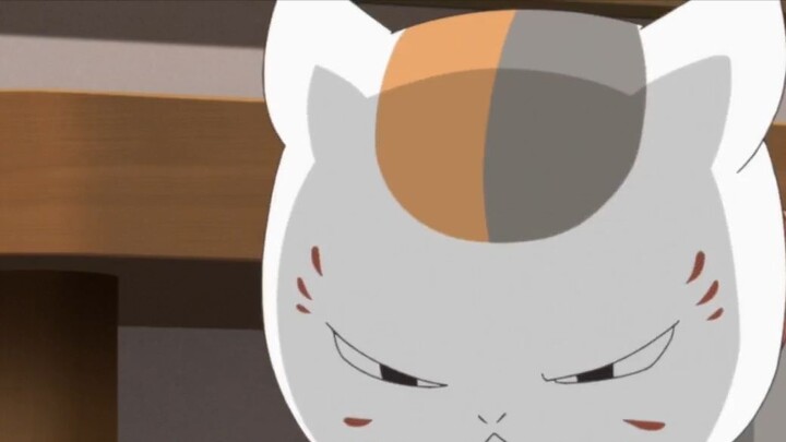 The cat teacher is still as cute as ever