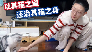 What evil intentions could a pet owner possibly have? Just tit for tat :)