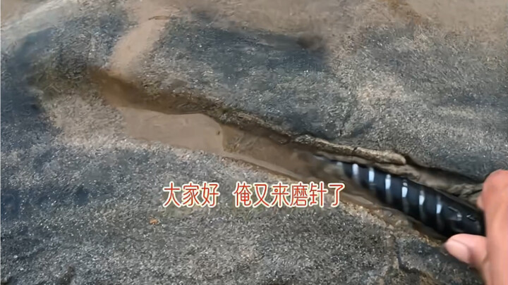 Sharpening the Needle by the River, Day 2267