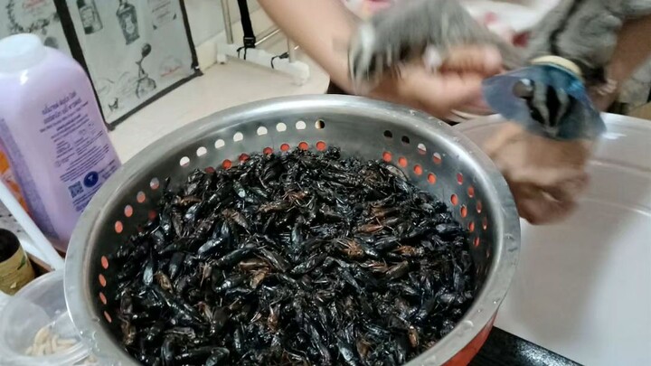 อาหารของสองตัวแสบมาแล้ว #ชูการ์ไกรเดอร์ #จิงโจ้ร่อน #อาหารสัตว์เลี้ยง วันที่27 ก.พ. 2569