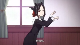 Kaguya wear cat ears