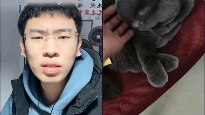 แกล้งหลับจนฉันหัวเราะไม่หยุด ดูสายตาเจ้าเหมียวที่ดูน้อยใจสิ ฮ่าๆๆๆ
