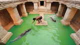 Kỳ tích khảo cổ vĩ đại nhất, miếu ngầm nuôi cá sấu!