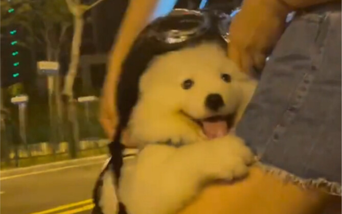 The original video is here!