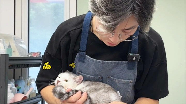 Cute and quirky little nose sniffing sounds