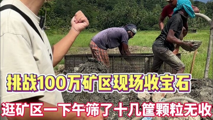 This guy’s got great instincts—he sorted through those baskets of gems in no time!