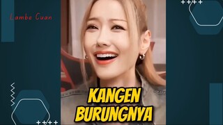 KANGEN BURUNGNYA??? - PRAZ TEGUH