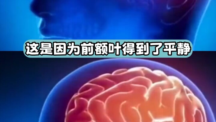 Thì ra những động tác hồi nhỏ từng làm có thể giúp tôi bình tĩnh lại #thùy trán #tuổi thơ