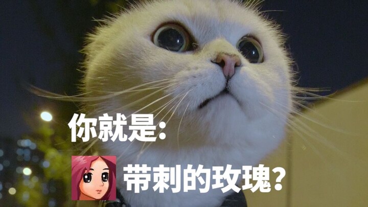 Nếu hẹn hò trực tuyến là rủi ro, thì tôi là một nhà thám hiểm