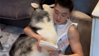 Don't take it apart: Daddy won't sleep unless I do—after all, I'm a little bald baby!