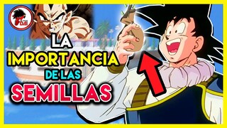 DBS: La IMPORTANCIA de las SEMILLAS del ERMITAÑO en Dragon Ball Super