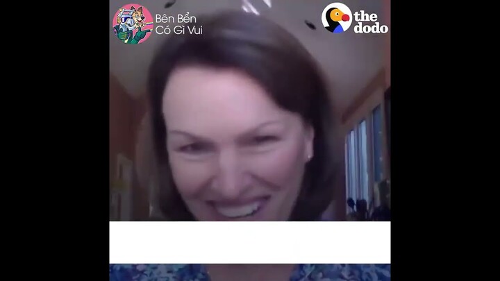 Chú chó trung thành| Bên bển có gì vui