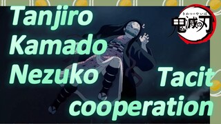Tanjiro Kamado Nezuko Tacit cooperation