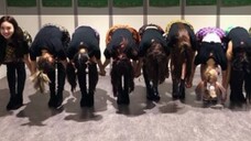 [TWICE] Nhóm nữ thích bắt chước nhau_Thích thì mình sẽ bắt chước~