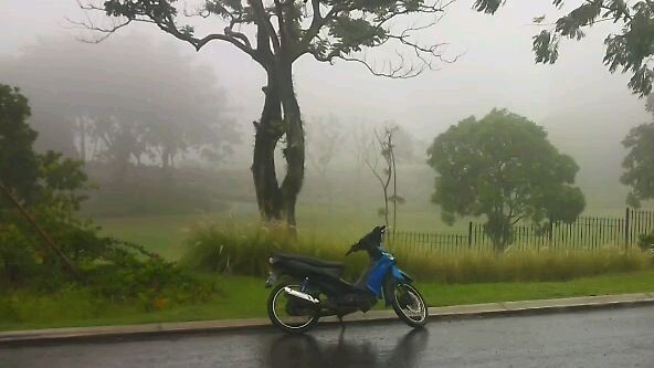 Bogor berkabut