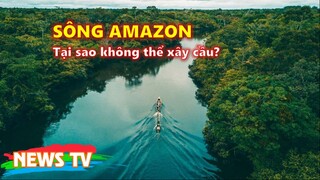 Vì sao không 1 cây cầu nào có thể bắc qua sông Amazon?