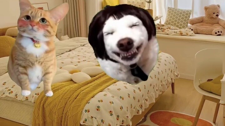 Seorang pria berusia 60 tahun setelah 25.