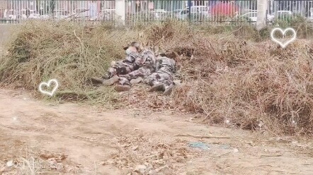 โรงเรียนทำทุกวิถีทางเพื่อไม่ให้นักเรียนออกไปสู้กัน