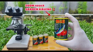 ZOOM 1000X: SARDEN KALENG, DAKI MANUSIA, DARAH IKAN & Hand Sanitizer vs BAKTERI UANG KERTAS