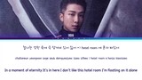 BTS RM "Lonely" color coded lyrics