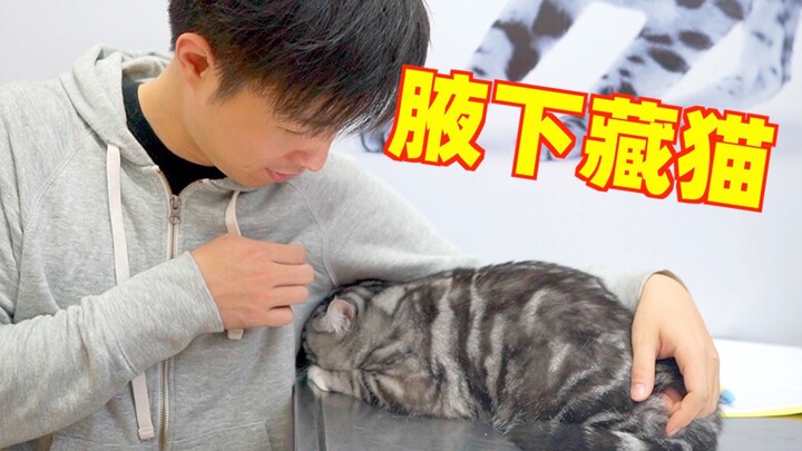 The cat, terrified of injections, actually crawled into my armpit, trying to knock itself out!