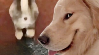 I’m not even dark soy sauce-colored—how could I possibly have ulterior motives?