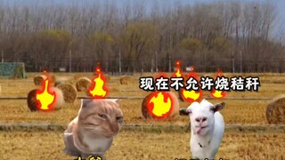 72岁大爷烧秸秆无法被选中