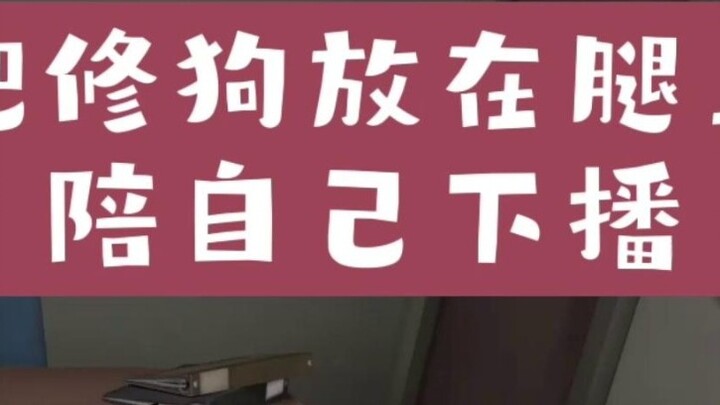 [voxto/cooked cut] Vox: I miss shoto before the broadcast / put it on my lap / hold it for the next 