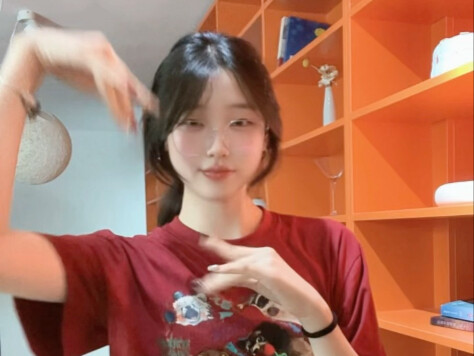 鸳鸯戏dj