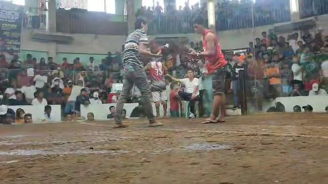 salamat nok d moko binigo 3x winner antipolo 5k per win