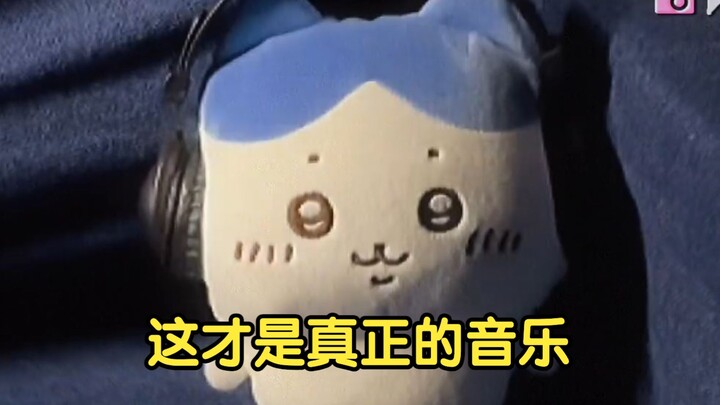 Hope Little Bauduo didn't pass away [Old Deng Kawa]