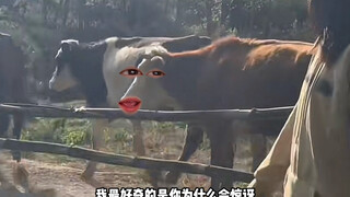 牛：再也不吃草了