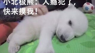 “你要再不犯熊瘾，那我就要犯人瘾”
