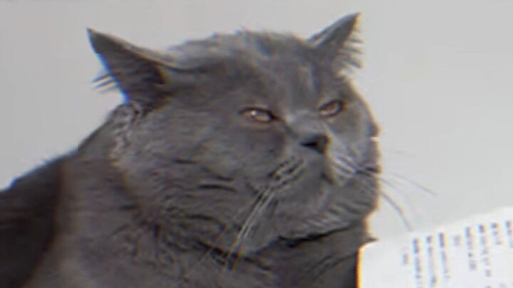 I just turned 18 right after midnight.