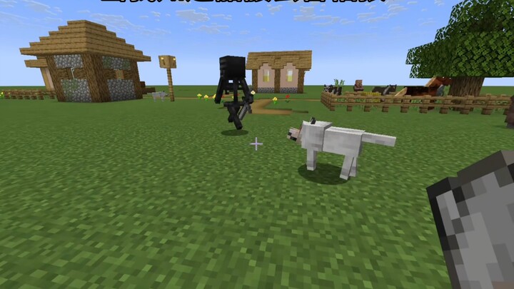 [Minecraft] Saat aku tahu kerangka takut pada serigala: