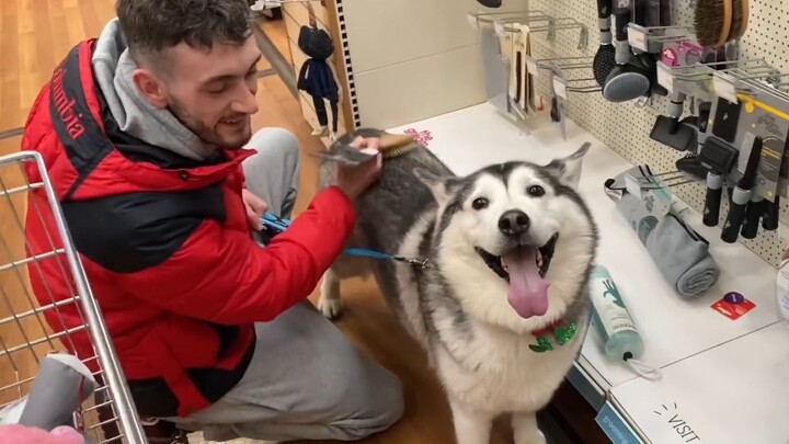 Milly đã 8 tuổi rồi! Đưa bé đi mua quà sinh nhật!