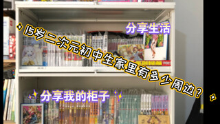 15岁二次元初中生家里有多少周边？一起来看看吧！爆柜时刻！